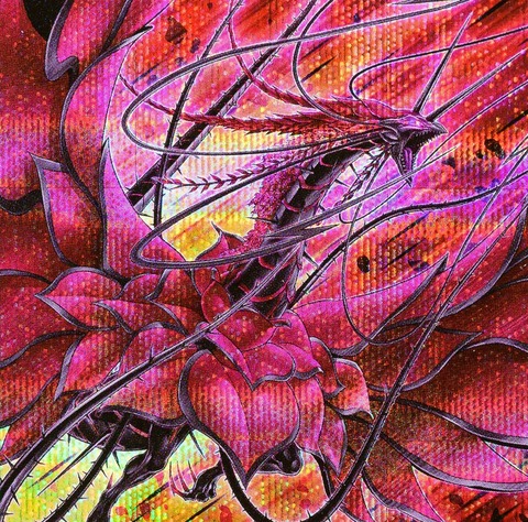 1000117356
