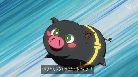 zexal 66 125
