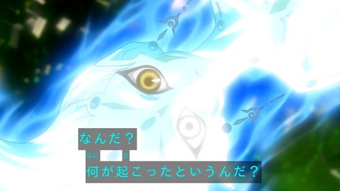 zexal 82 75