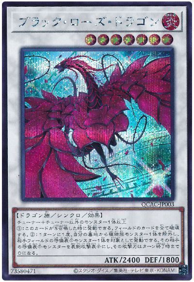 1000117646