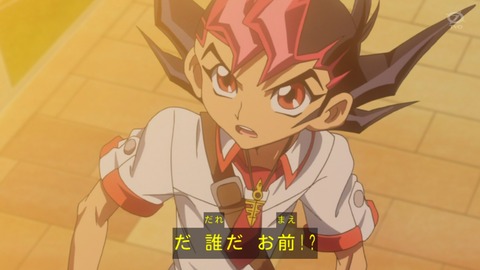 zexal 81 24