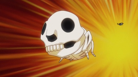 zexal 66 127