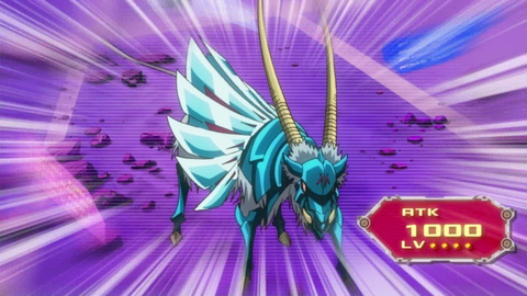 zexal 64 60