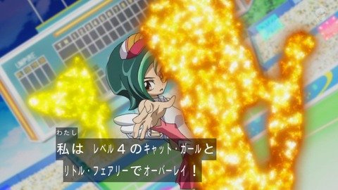 zexal 81 114