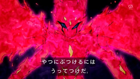 zexal 92 66