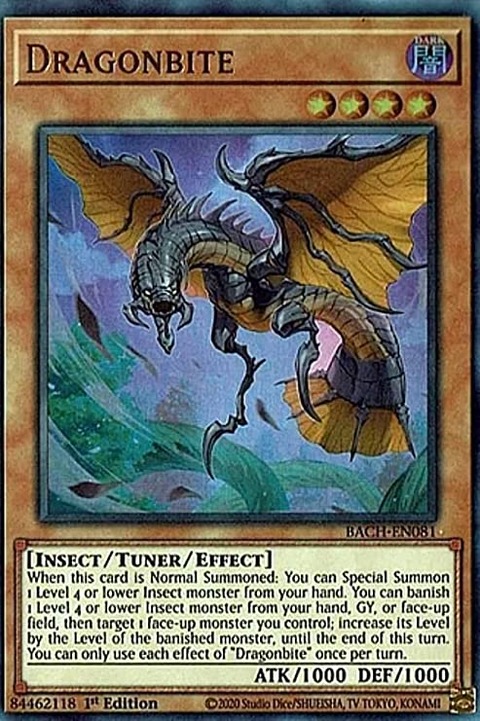 5613