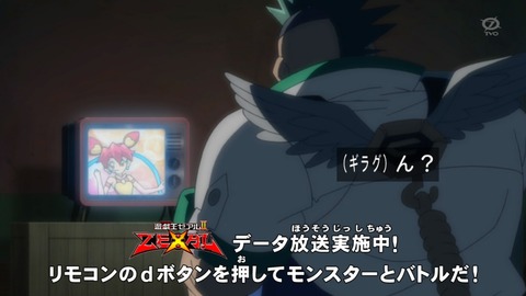 zexal 80 20