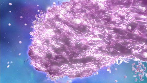 Capture20170301-021511