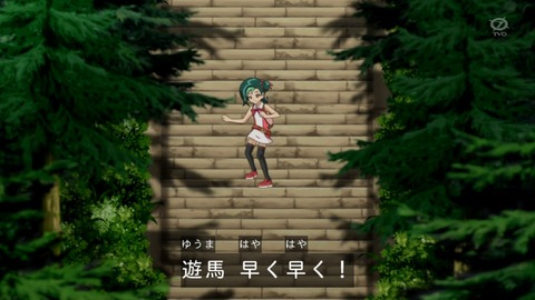 zexal 82 46