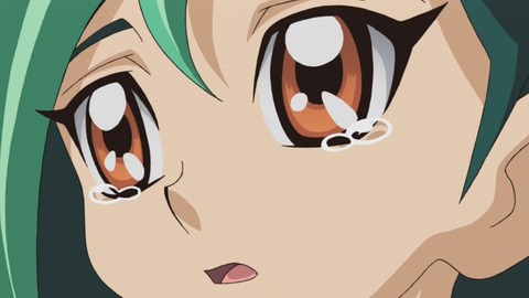 zexal 67 113