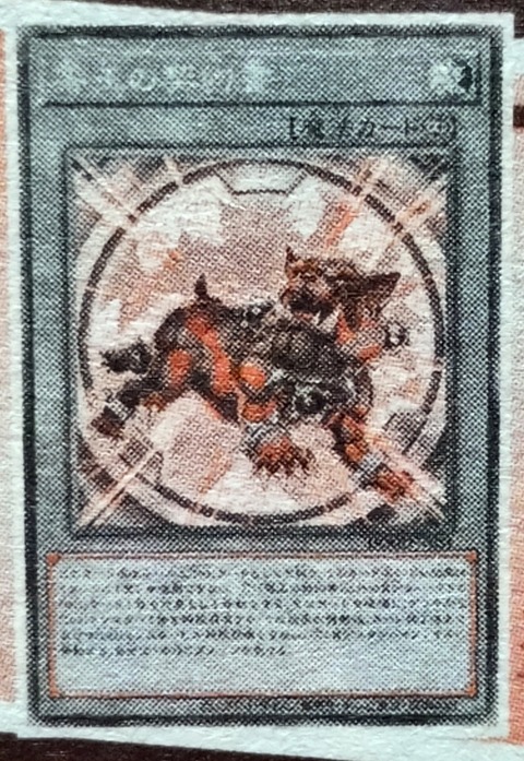 1000113616