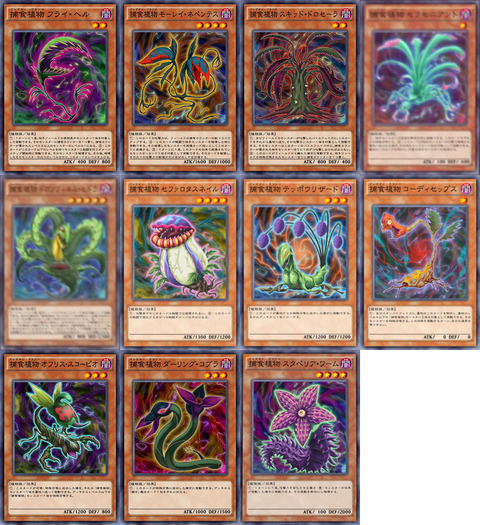 1429