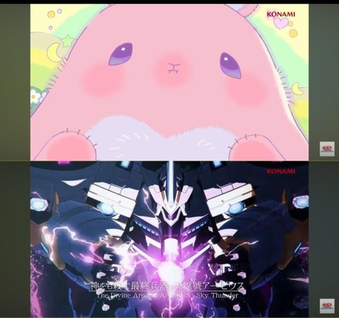 5003