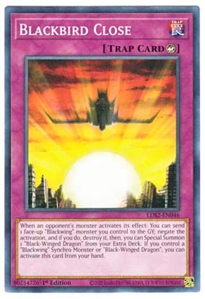41nb2n5zBpL._AC_SL1500_