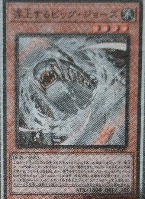 1000068488