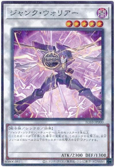 3003