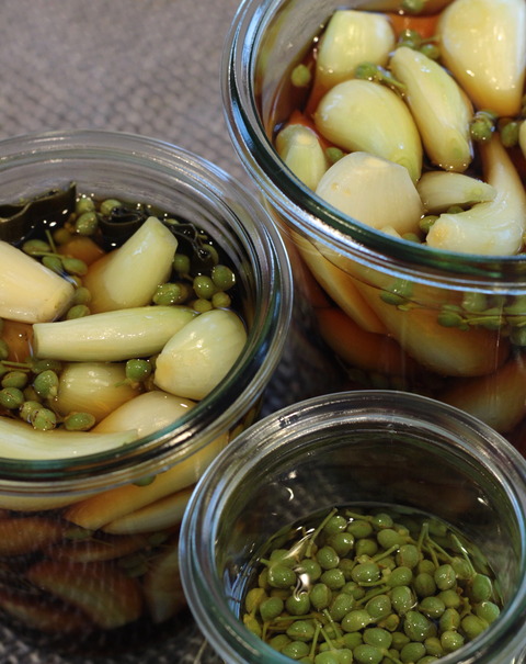 2018-06-10 14.49.33 のコピー