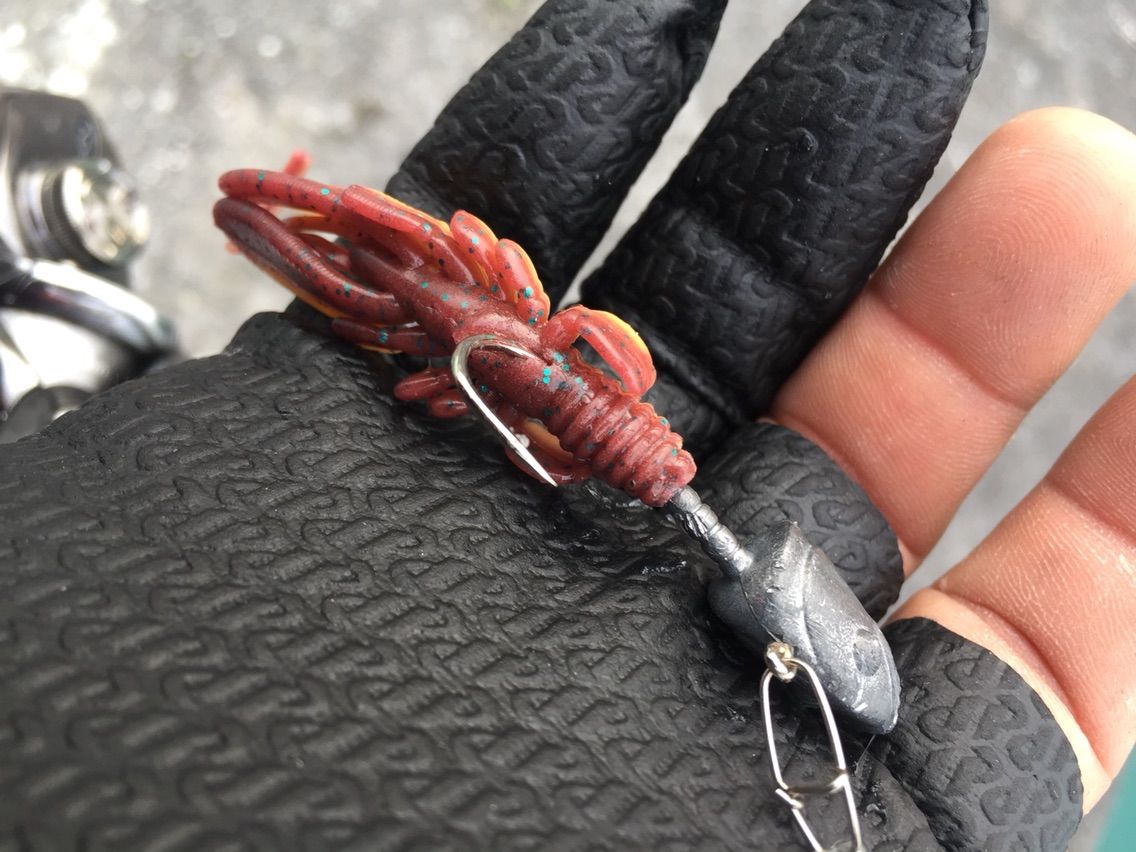 エコギア バグアンツ チヌ職人 本日も陸っぱり から