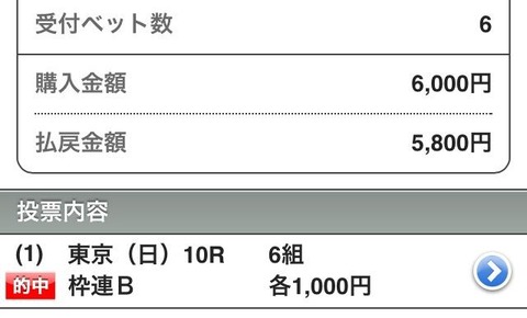 日本ダービーまやみ