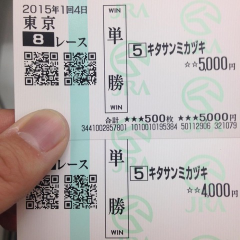キタサンミカヅキ9,000円