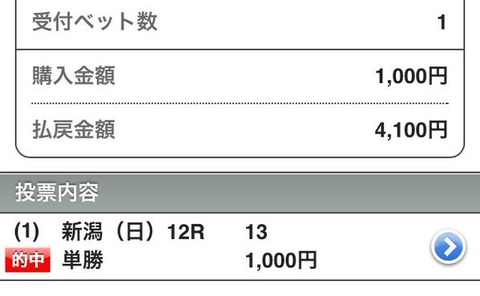 新潟　4,100円