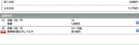 ダイシンバルカン 11,770円