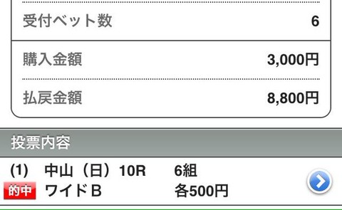 有馬記念　ゴールドアクター＆サウンドオブアース