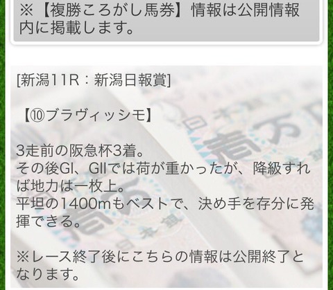 ８月１３日　ターキー　ブラビッシモ