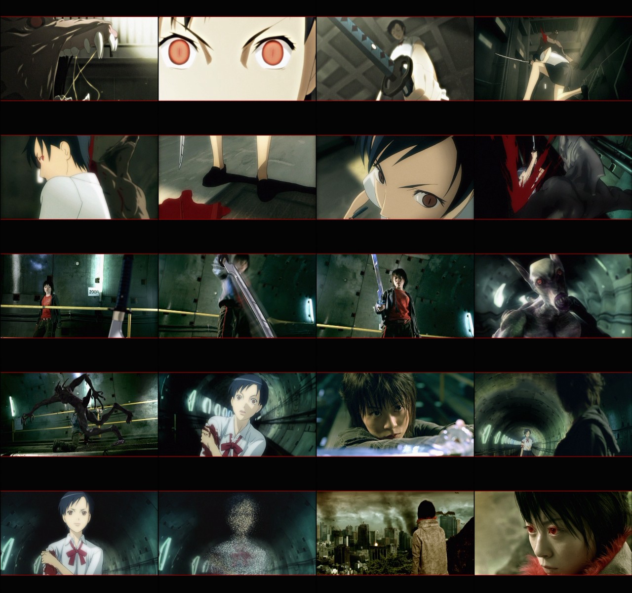 青空のナミダ 初回生産限定盤dvd付 すずかどう