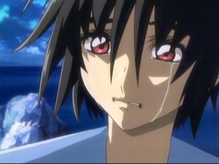 機動戦士ガンダムseed Destiny Final Plus 選ばれた未来 すずかどう 機動戦士ガンダムseed Destiny Final Plus 選ばれた未来 すずかどう