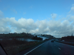 DSC00333