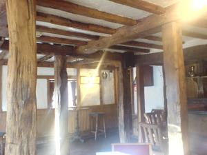 DSC00550