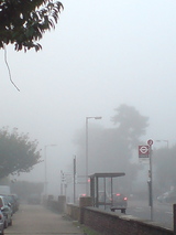 霧