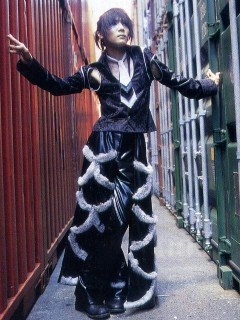 ザクロ 型 の 憂鬱