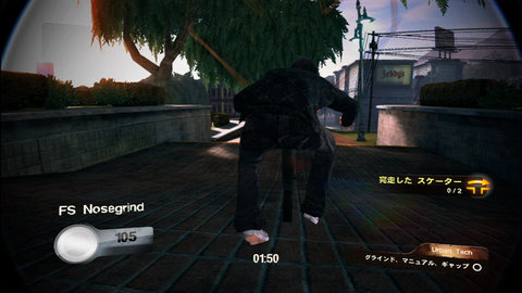 skate2