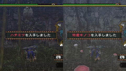 特産キノコ・ハチミツ