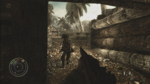 Call of Duty:World at War (6)