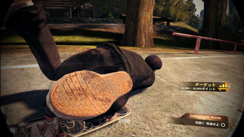 skate2