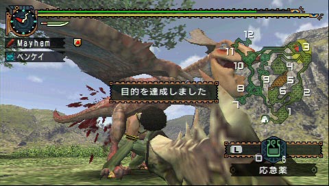その名は大怪鳥!? イャンクック