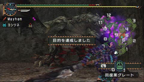 リオレイア&リオレウス