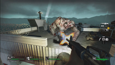 L4D Tunk
