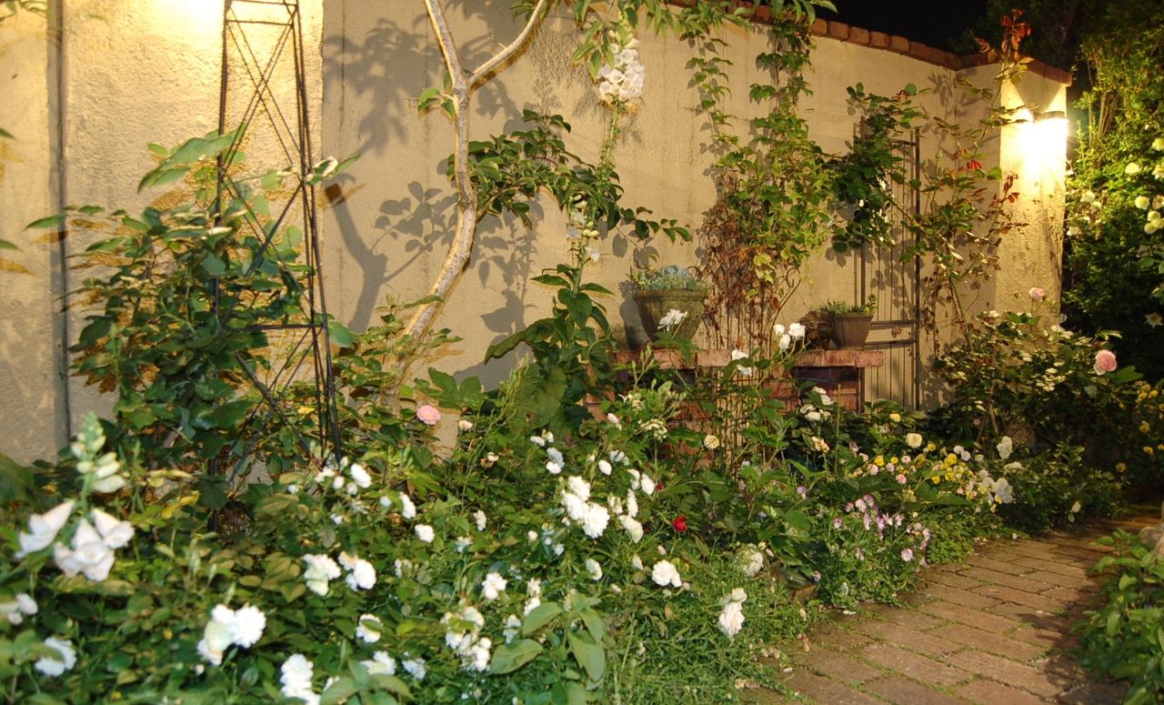 5月の夜の庭の白い花たち 2 真夜中の庭から 5月の夜の庭の白い花たち 2 真夜中の庭から