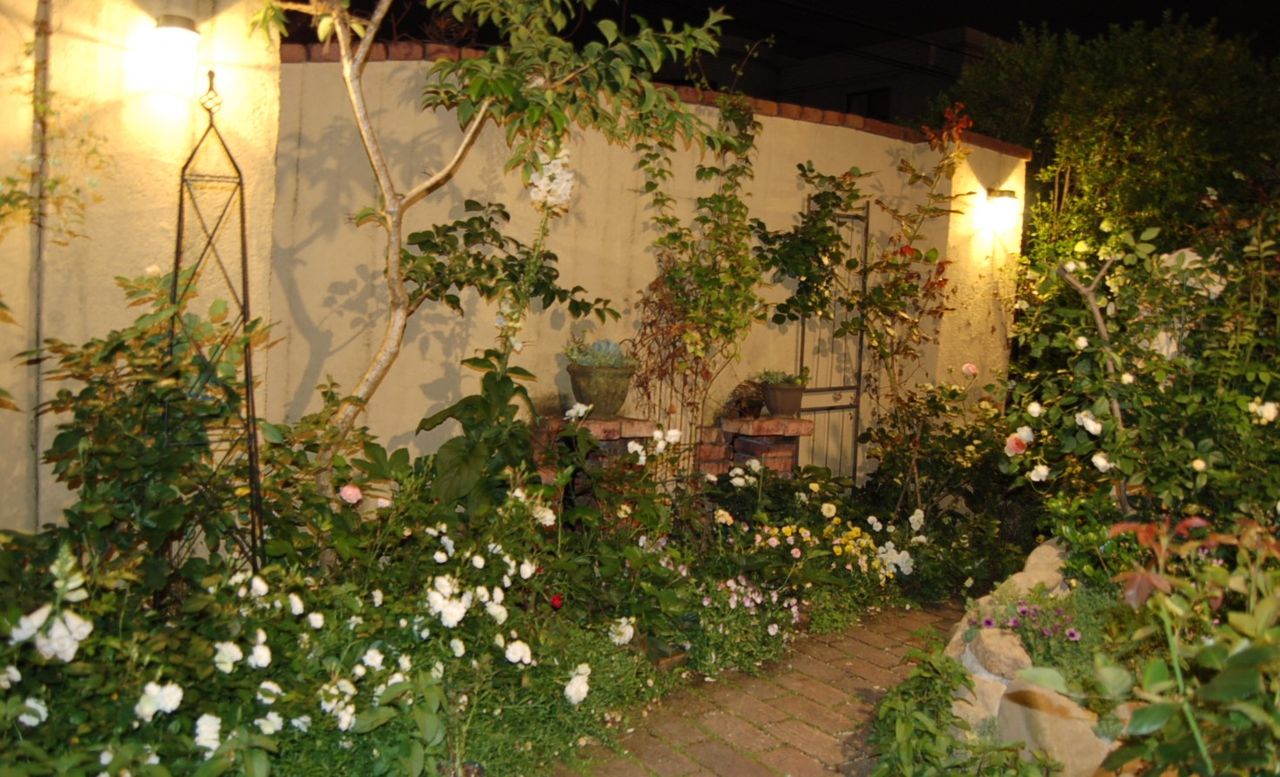 5月の夜の庭の白い花たち 2 真夜中の庭から 5月の夜の庭の白い花たち 2 真夜中の庭から