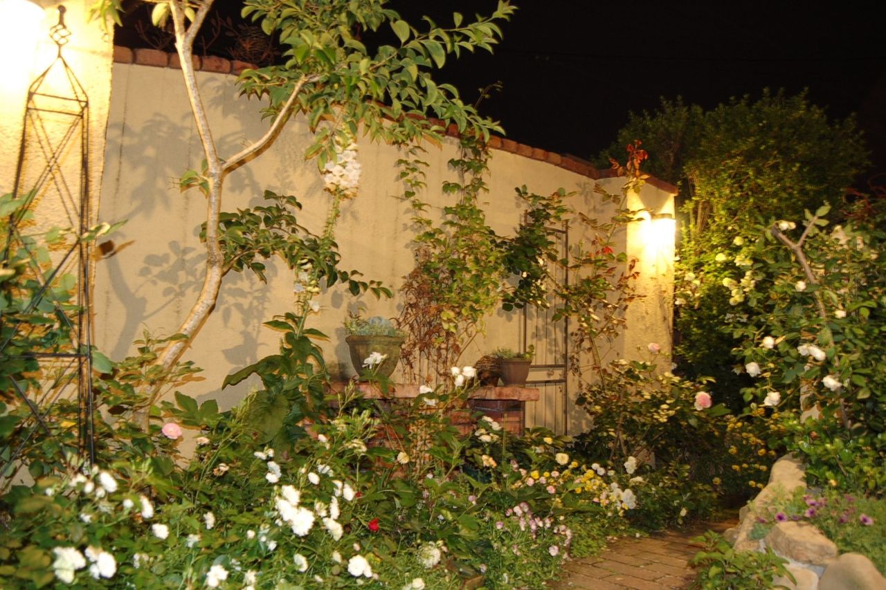 5月の夜の庭の白い花たち 2 真夜中の庭から 5月の夜の庭の白い花たち 2 真夜中の庭から