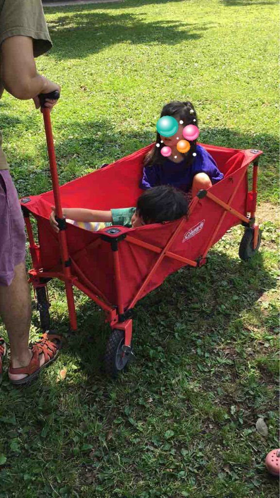 お花見 ピクニックの味方 2歳 6歳 キャリーワゴン 子供を乗せて楽しもう まよる のblog お花見 ピクニックの味方 2歳 6歳 キャリーワゴン 子供を乗せて楽しもう まよる のblog