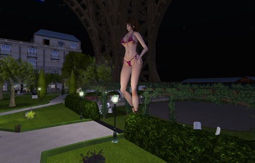 Snapshot_13388