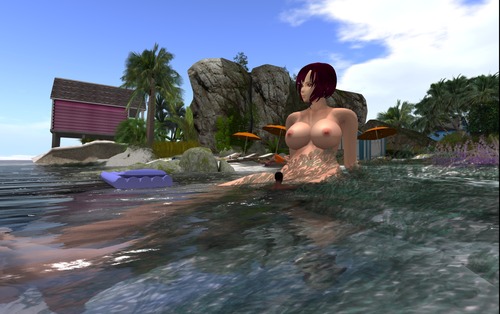 Snapshot_21832