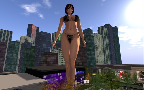 Snapshot_2026-01-12_084158_001