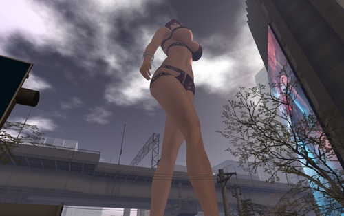 Snapshot_37463