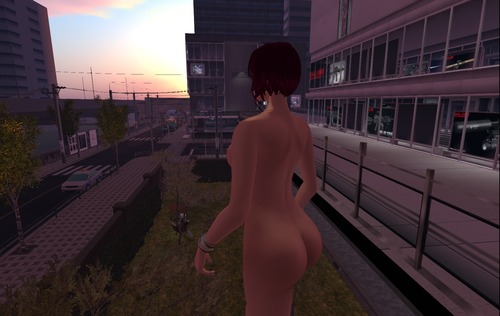 Snapshot_20768